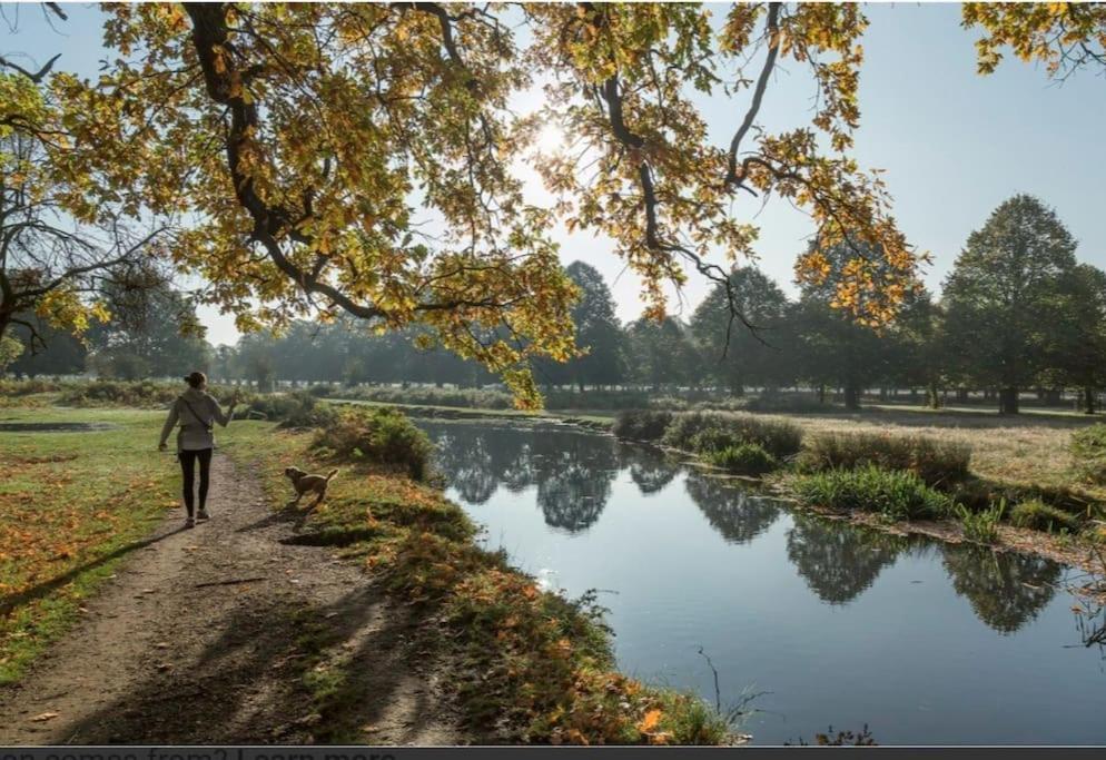 Turing Lodge, Near Hampton Court ภายนอก รูปภาพ